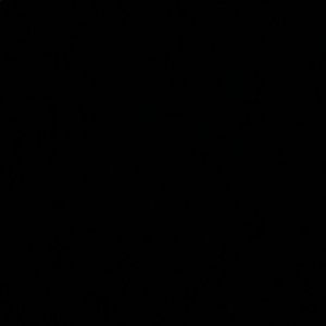 Meet your Posher, Laila